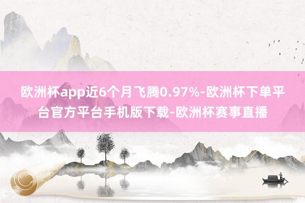 欧洲杯app近6个月飞腾0.97%-欧洲杯下单平台官方平台手