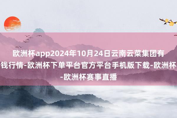 欧洲杯app2024年10月24日云南云菜集团有限公司价钱行情-欧洲杯下单平台官方平台手机版下载-欧洲杯赛事直播