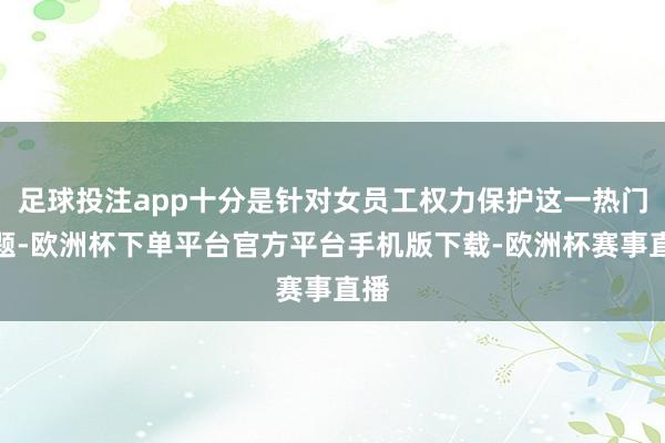 足球投注app十分是针对女员工权力保护这一热门话题-欧洲杯下