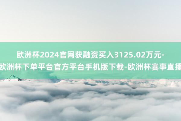 欧洲杯2024官网获融资买入3125.02万元-欧洲杯下单平