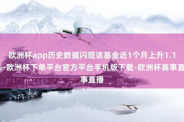 欧洲杯app历史数据闪现该基金近1个月上升1.11%-欧洲杯下单平台官方平台手机版下载-欧洲杯赛事直播