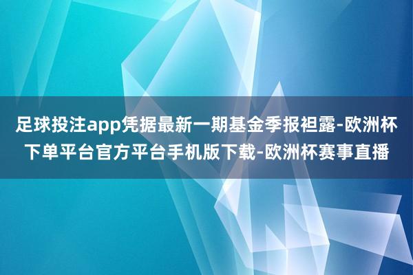 足球投注app凭据最新一期基金季报袒露-欧洲杯下单平台官方平台手机版下载-欧洲杯赛事直播