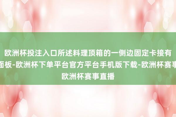 欧洲杯投注入口所述料理顶箱的一侧边固定卡接有舍弃面板-欧洲杯