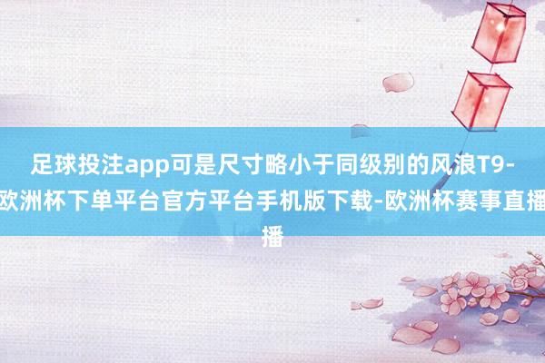 足球投注app可是尺寸略小于同级别的风浪T9-欧洲杯下单平台官方平台手机版下载-欧洲杯赛事直播