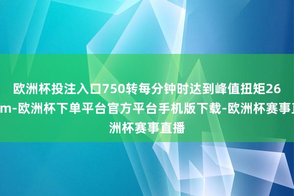 欧洲杯投注入口750转每分钟时达到峰值扭矩26.4Nm-欧洲