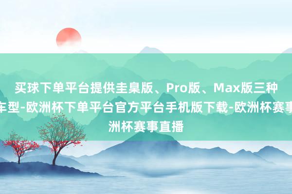 买球下单平台提供圭臬版、Pro版、Max版三种能源车型-欧洲