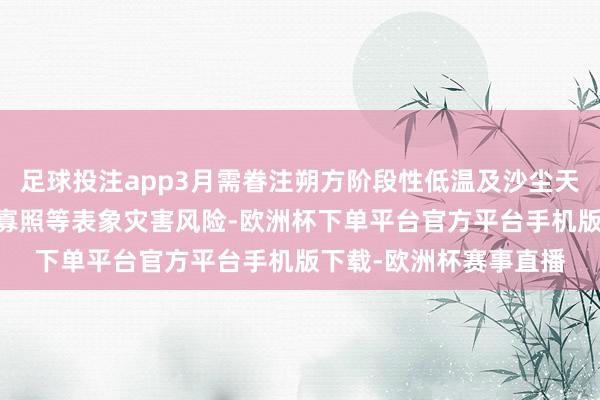 足球投注app3月需眷注朔方阶段性低温及沙尘天气影响 退缩南