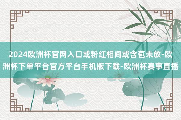 2024欧洲杯官网入口或粉红相间或含苞未放-欧洲杯下单平台官